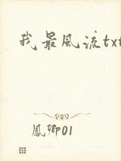 我最风流txt