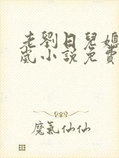 老刘日儿媳妇张岚小说免费阅读