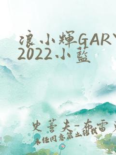 浪小辉GARY2022小蓝