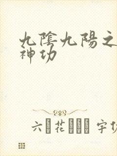 九阴九阳之阴阳神功