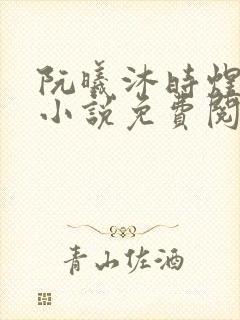 阮曦沐时煜全文小说免费阅读