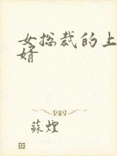 女总裁的上门女婿