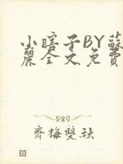 小瞎子BY苏玛丽全文免费笔趣阁