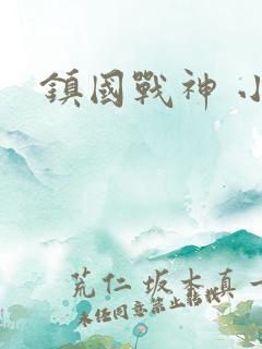 镇国战神 小说