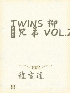 TWINS 柳澤兄弟 VOL.2