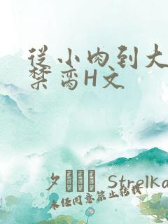 从小肉到大师傅禁脔H文