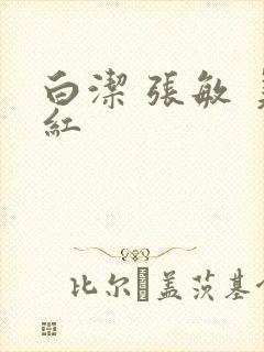 白洁 张敏 美红