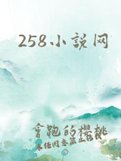 258小说网