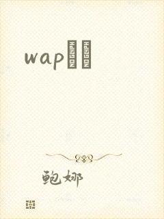 wapС˵