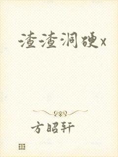 渣渣洞硬x