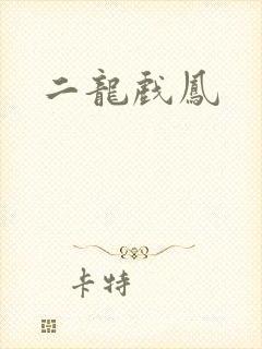 二龙戏凤