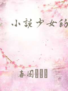 小说少女的心