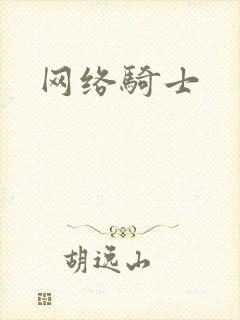 网络骑士