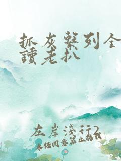 抓灰系列全文阅读老扒