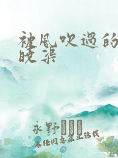 被风吹过的夏天晓渠