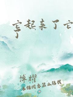 它起来了它想你了