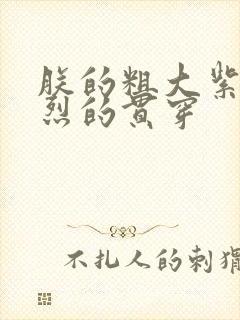 朕的粗大紫红猛烈的贯穿