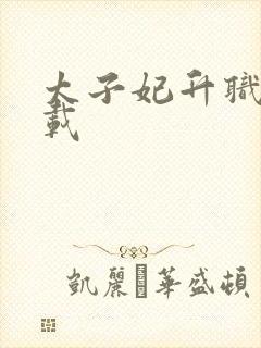 太子妃升职记下载