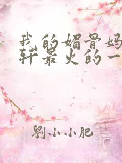 我的媚骨妈妈林轩最火的一句