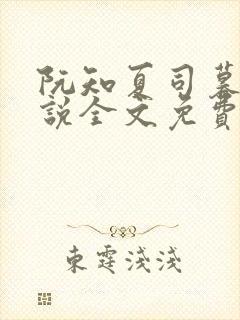 阮知夏司暮寒小说全文免费