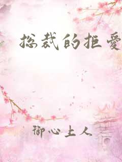 总裁的拒爱前妻