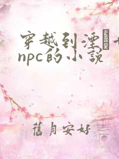 穿越到湮婸世界npc的小说