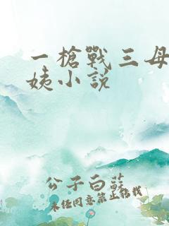 一枪战三母2雪姨小说