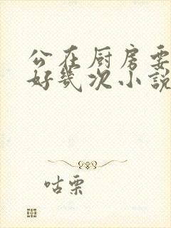 公在厨房要了我好几次小说