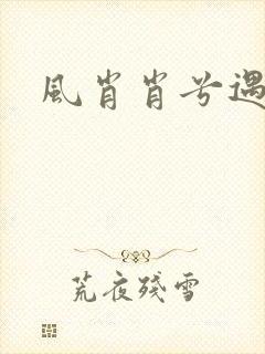 风肖肖兮遇子期