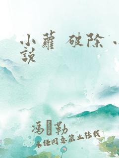小萝 破除 小说