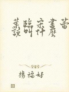 叶临宋书蕾的小说叫什么