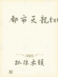 都市天龙txt