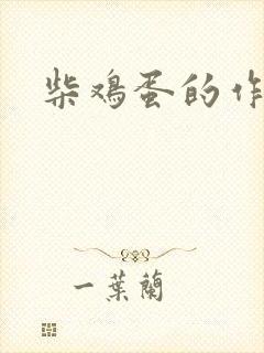 柴鸡蛋的作品