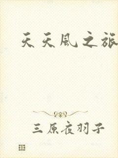 天天风之旅辅助