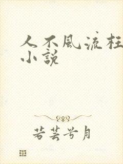 人不风流枉少年小说