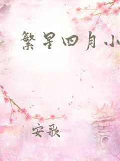 繁星四月小说