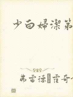 少白妇洁第二部