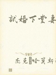 试婚下堂妻