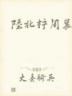 陆北柠周慕深