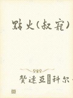 点火(叔宠)