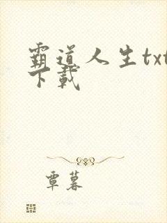 霸道人生txt下载