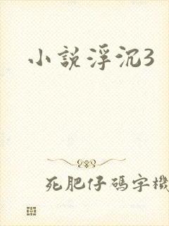 小说浮沉3