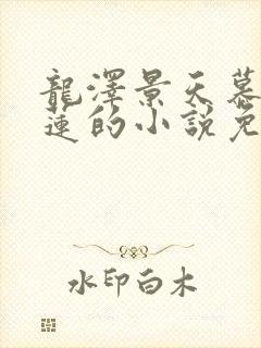 龙泽景天慕容青莲的小说免费阅读