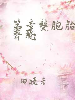 第章双胞胎姐妹齐飞