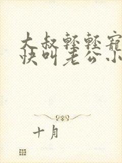 大叔轻轻宠宝贝快叫老公小说