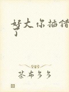 好大你插错地方了