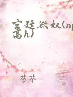 宫廷欲奴(np高h)