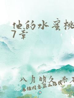 他的水蜜桃第27章