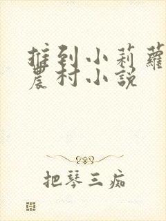 推到小莉萝稚嫩农村小说