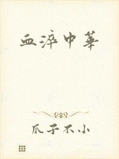 血淬中华
